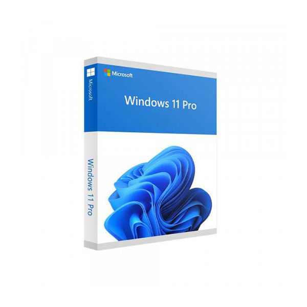 Hệ điều hành Microsoft Windows Pro 11 64bit Eng USB (HAV-00163)